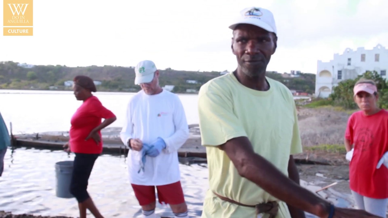 A look at Anguilla's salt picking history