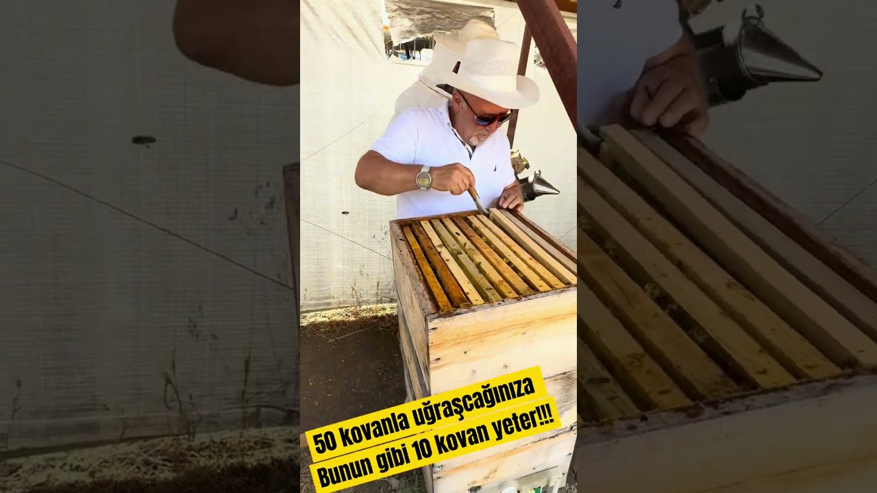 MUTLU ARICI ZİYARETLERİ 12 ANKARA AKYURT