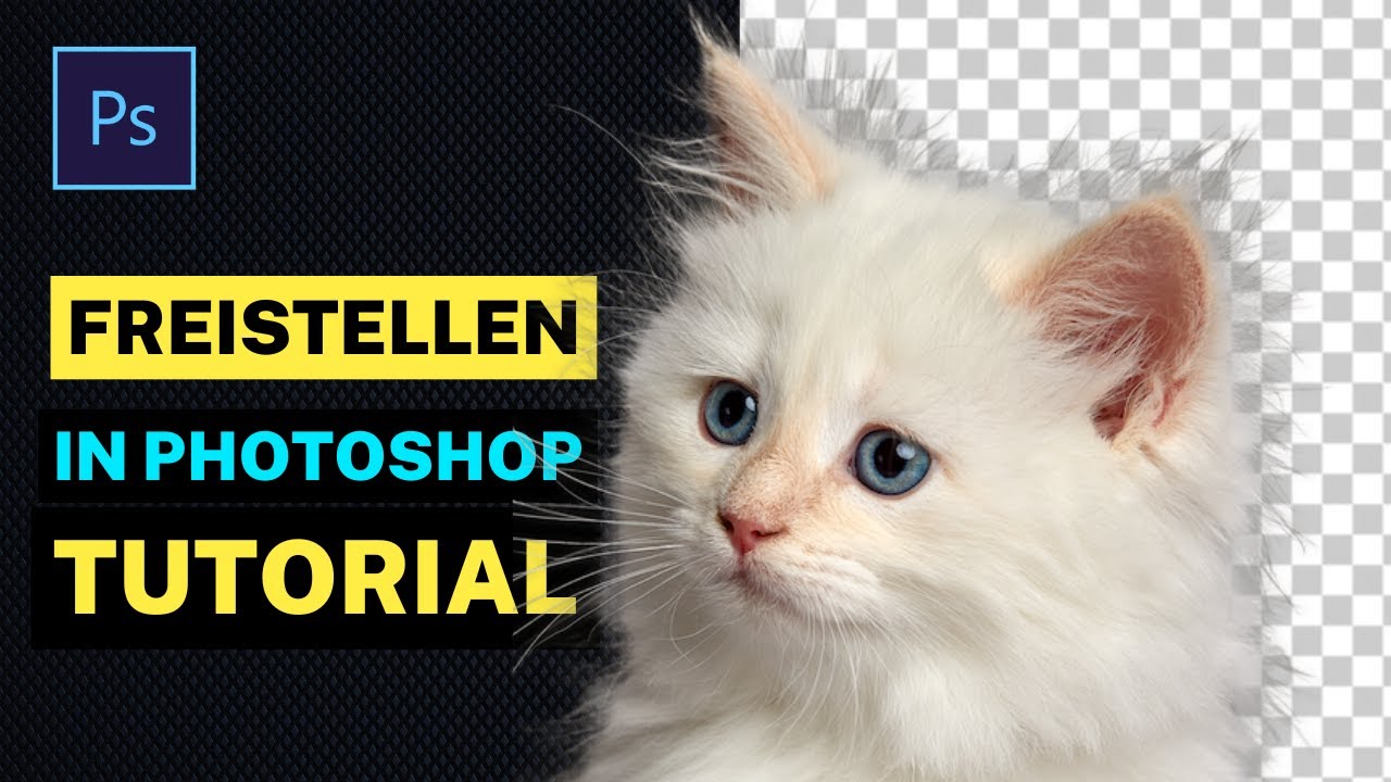 Hintergrund entfernen in Photoshop Tutorial | Ausschneiden, Tiere freistellen