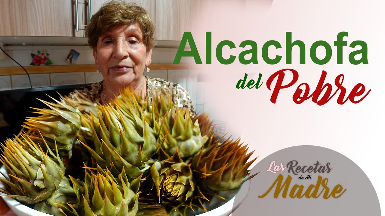 ALCACHOFA DEL POBRE
