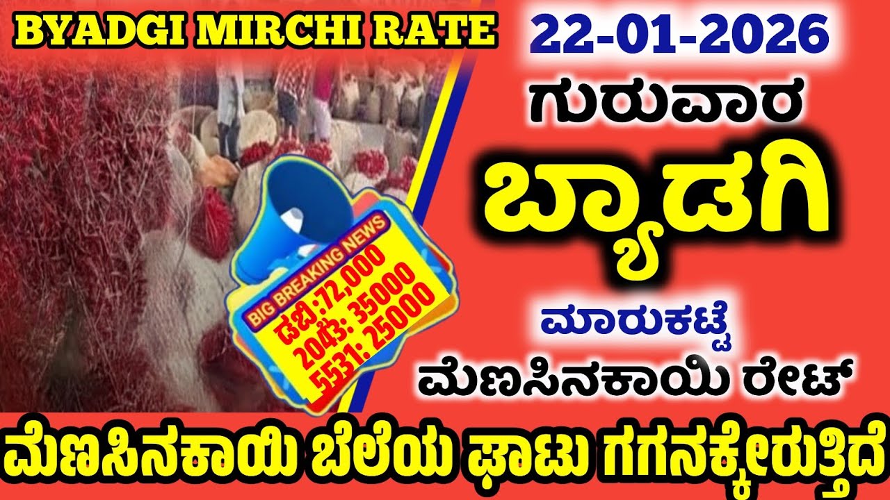 22-01-2026 Tuesday Byadgi Market Mirchi Rate | chilli Rates  Byadgi Market chilli Rate #Byadgimarket