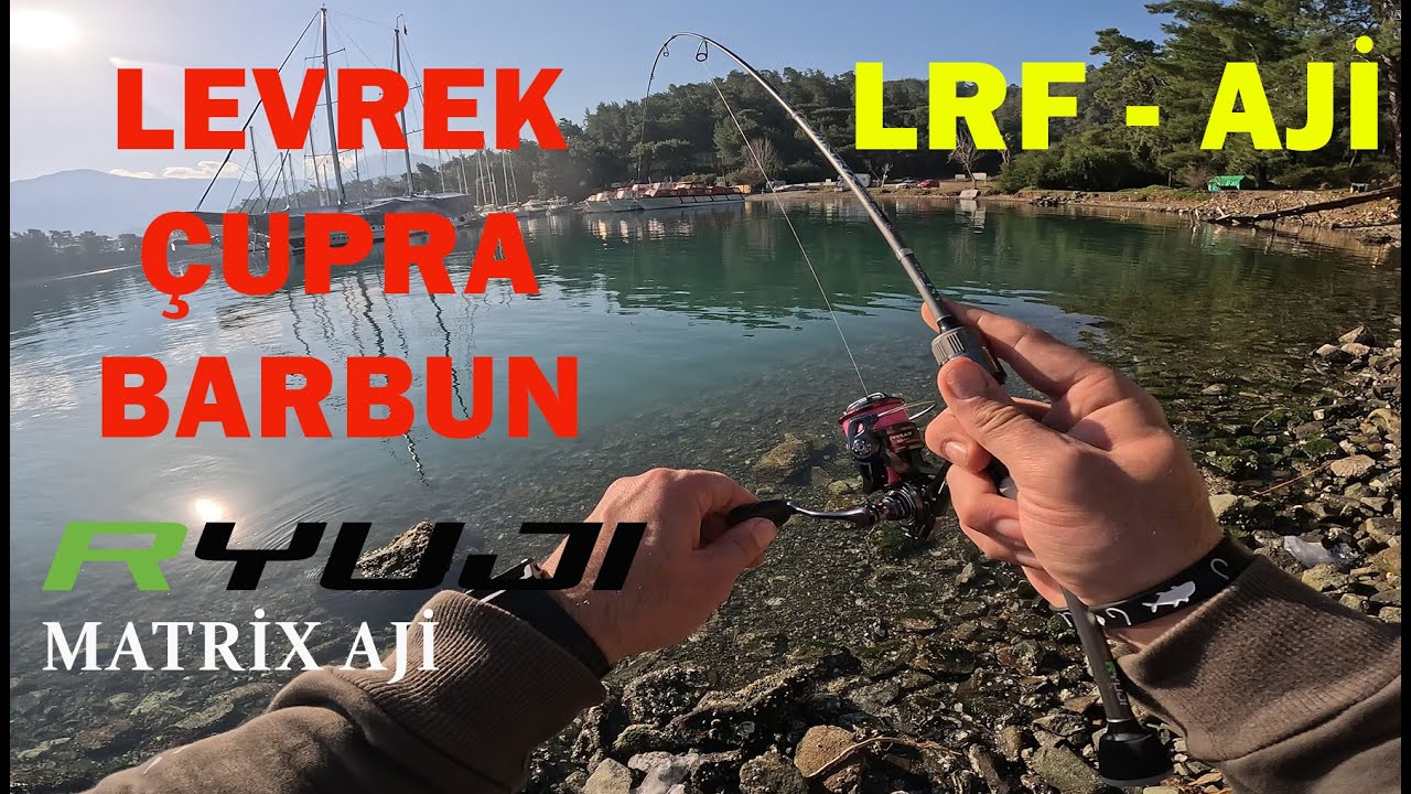 Çupra, Levrek, Barbun Ne Ararsan Var AJİ Takımla Fethiye Balık Avı   #balıkavı #balık
