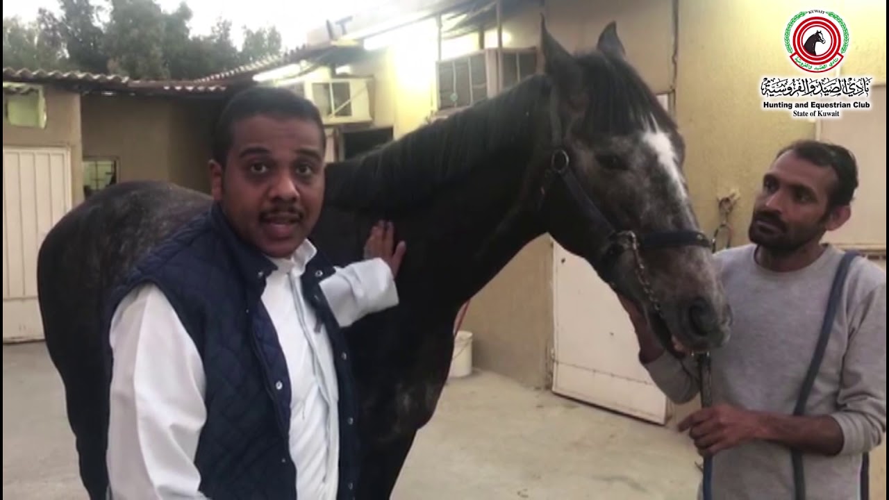 لقاء مع عبدالكريم الملا مدرب اسطبل الملا