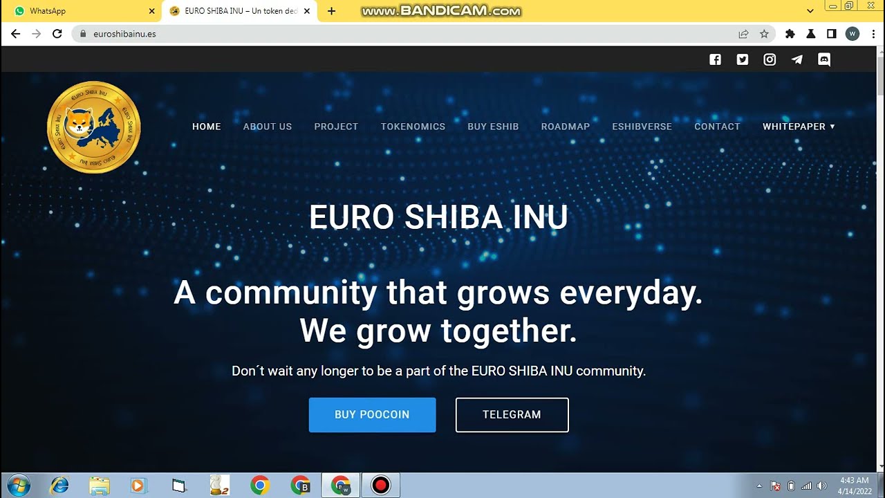 New Token project Euroshibainu in 2022 profitable project