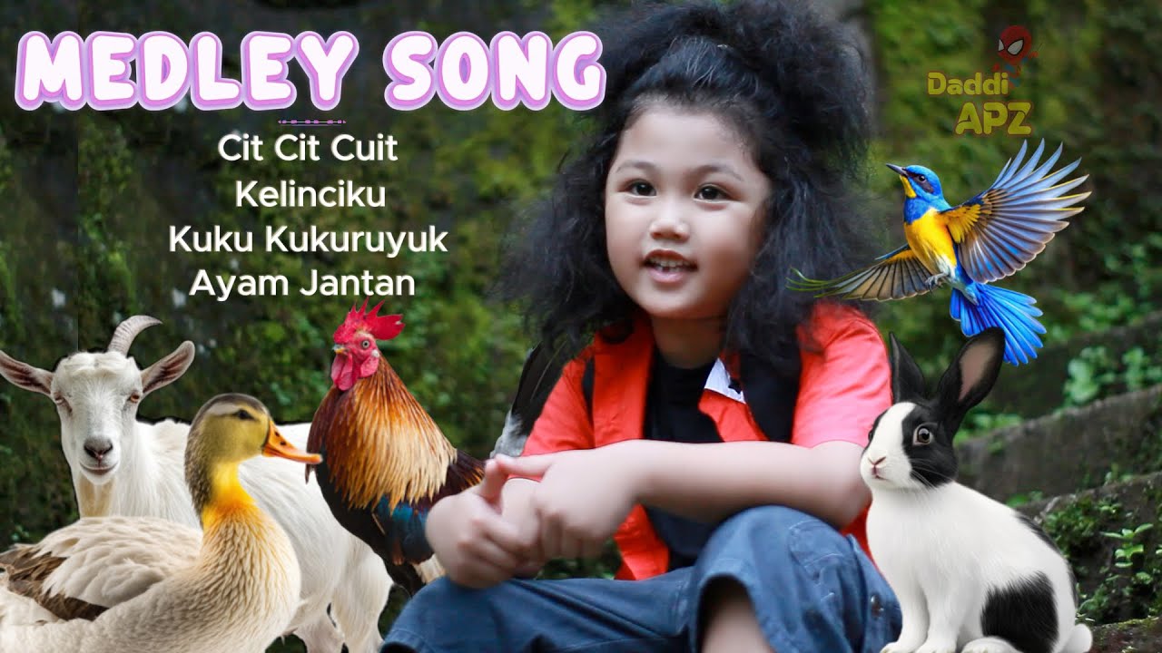 Lagu Populer Cit Cit Cuit - Ayam Jantan - Kukuruyuk - Kelinciku Medley Song