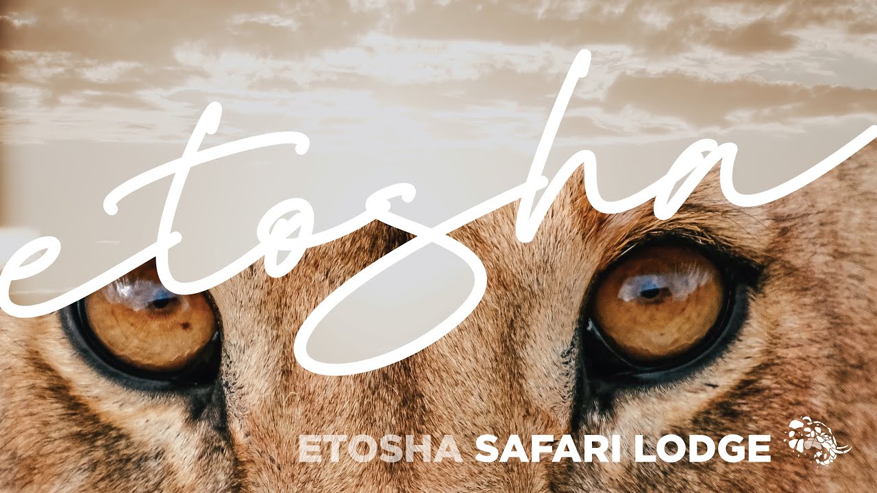 ETOSHA SAFARI LODGE - NAMIBIA
