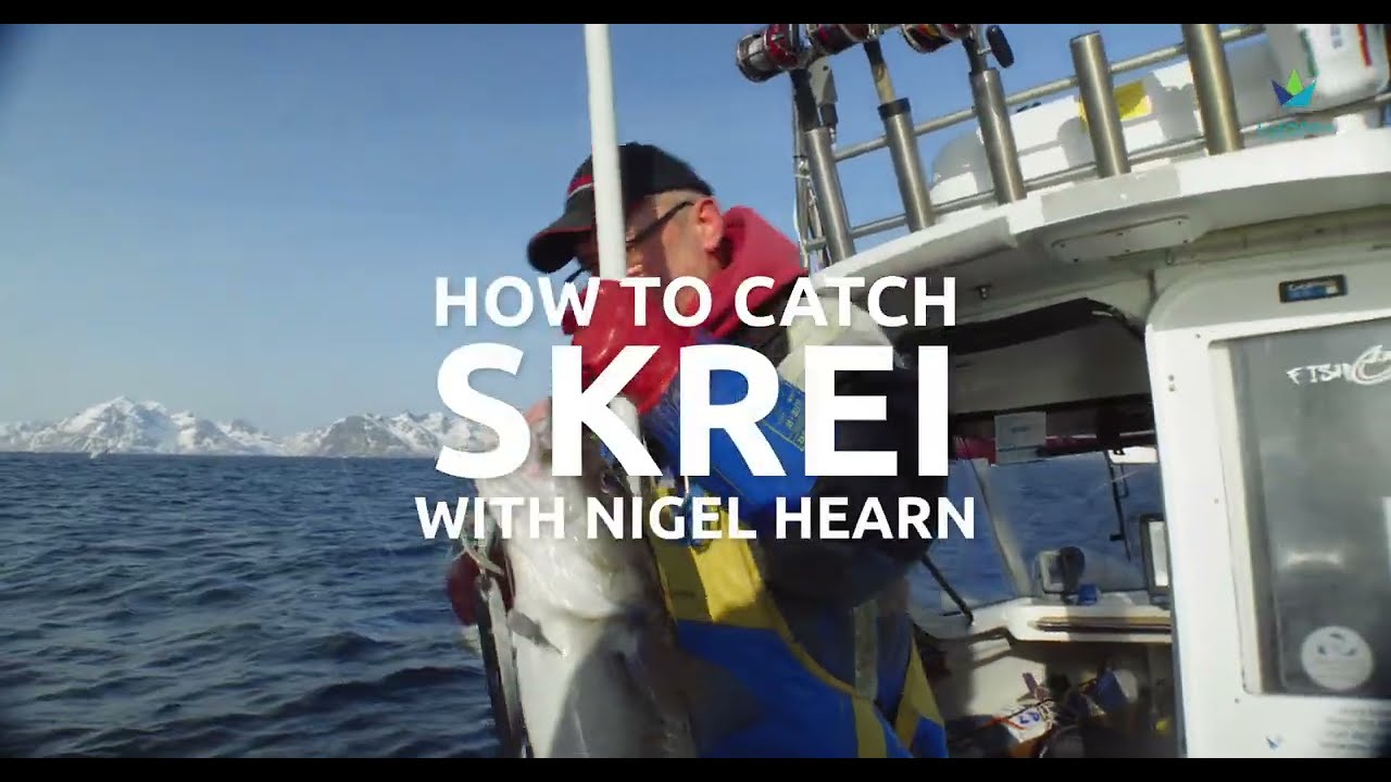 Lofoten Fishing - How to catch Skrei (big Cod) with Nigel