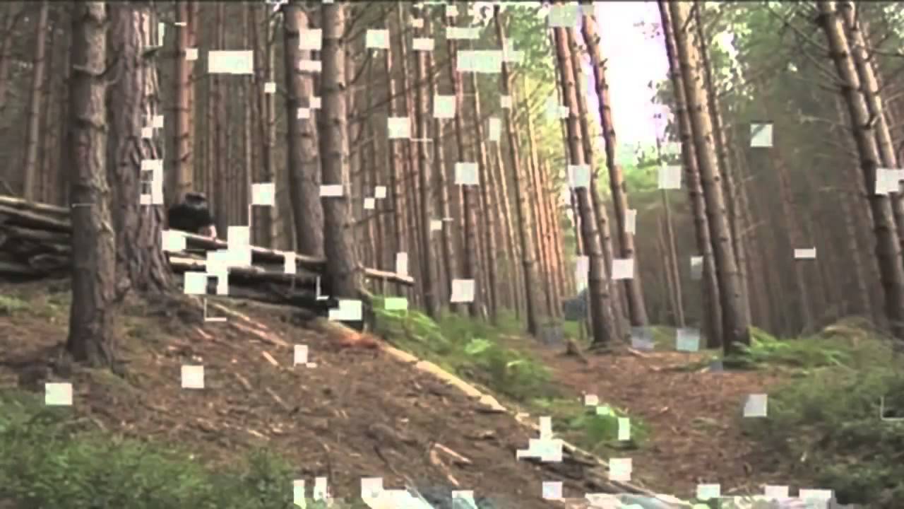 Action Sports Fail Compilation May 2013