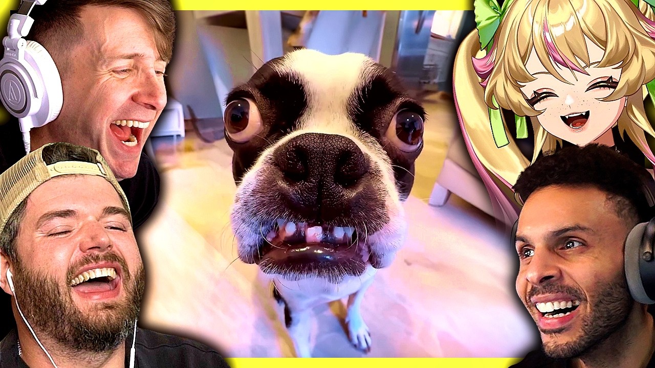 Laughing at Tiktoks with the Vanoss Crew!