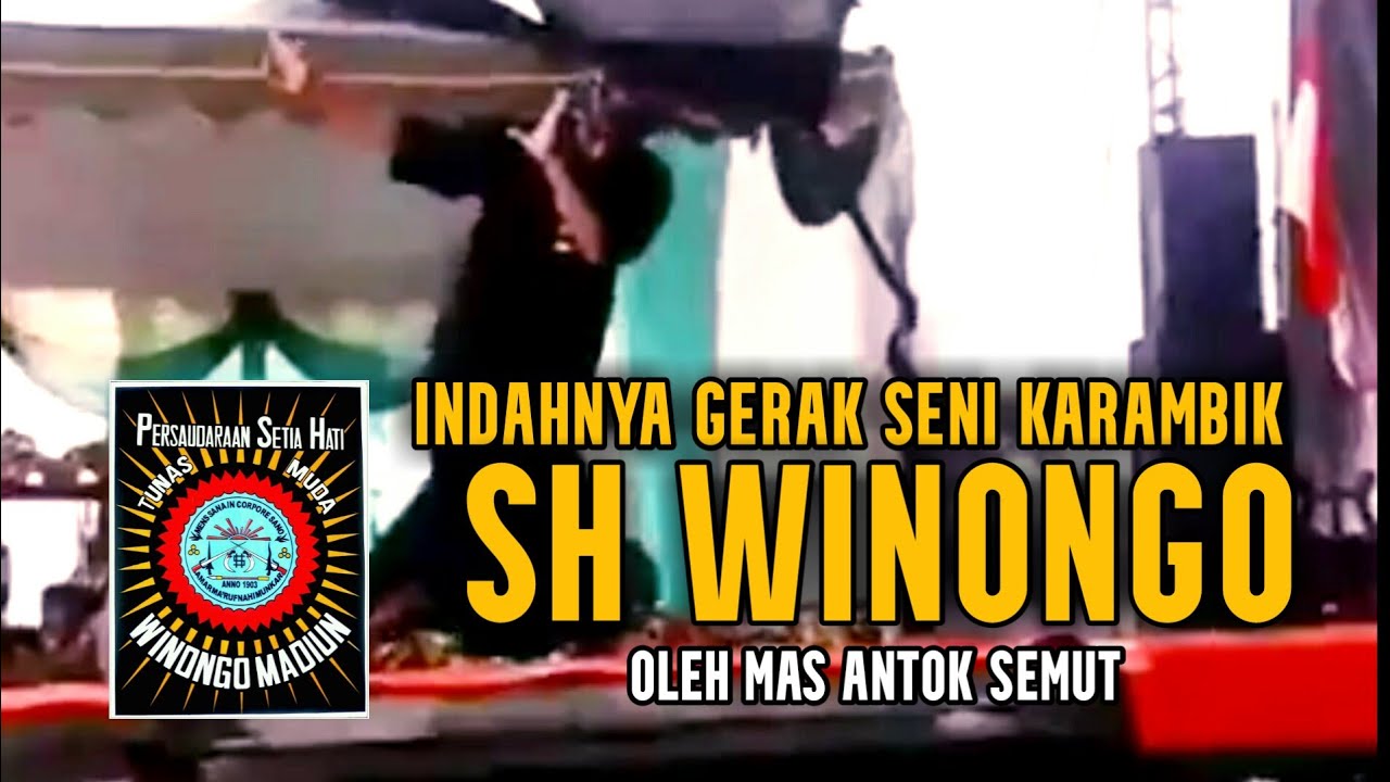 indahnya gerak seni karambik SH winongo oleh mas antok semut