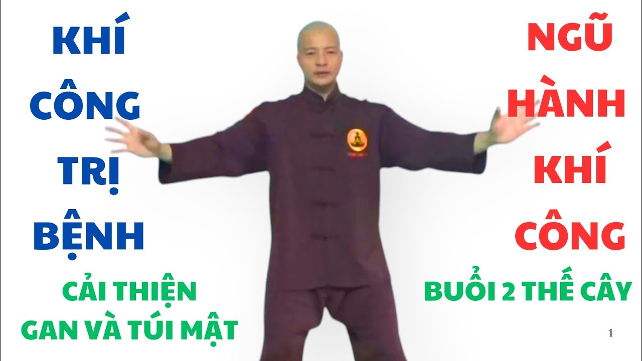 Khí Công Chữa Bệnh - Ngũ Hành Khí Công - buổi 2 thực hành thế cây ( cải thiện gan và túi mật )