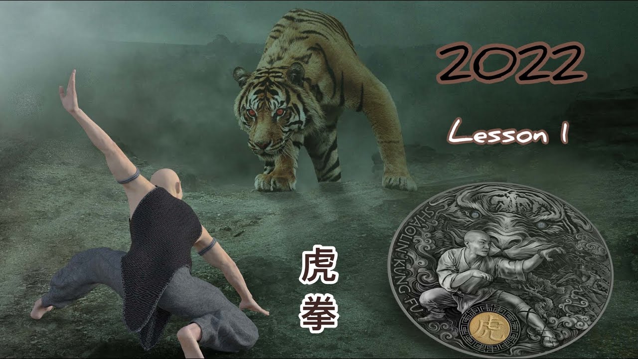 Southern tiger Kung fu lesson 1 in 2022 / 5 basics , 3 combo , 1part of form / 虎拳
