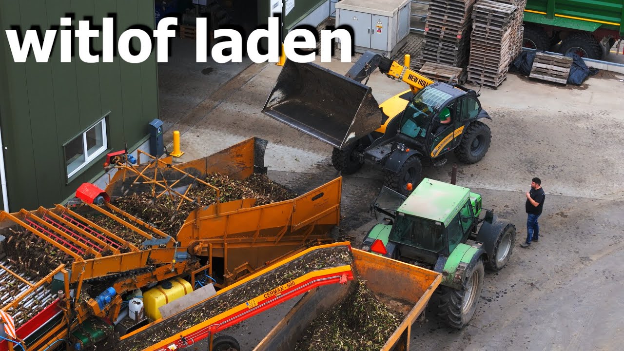 witlof laden