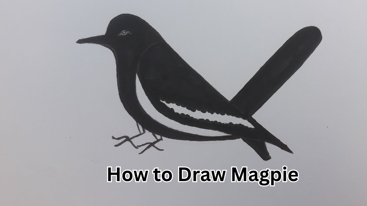 How to draw Magpie | How to draw National Birds of Bangladesh step by step |  Soni Art and Stitch.
