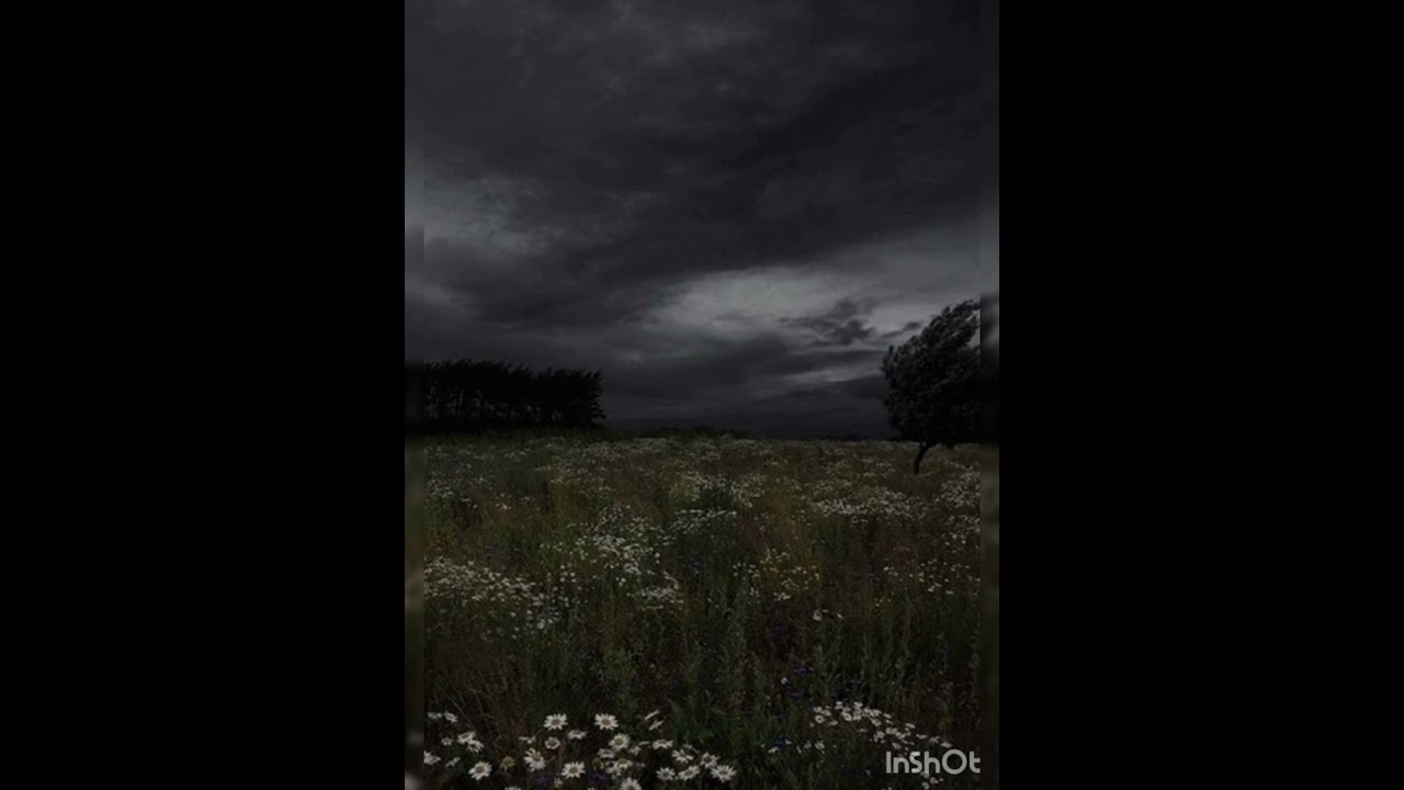 Belong - Never Came Close (slowed)