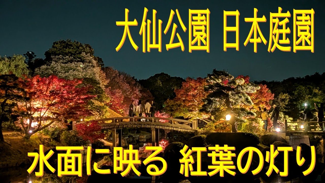 大仙公園 日本庭園　水面に映る 紅葉の灯り（2025.11.19）