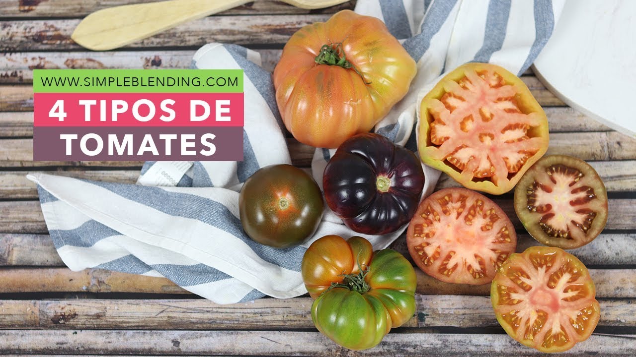 4 TIPOS DE TOMATES QUE DEBES PROBAR | Tomate Rosa, Raf, Tomate azul y Kumato