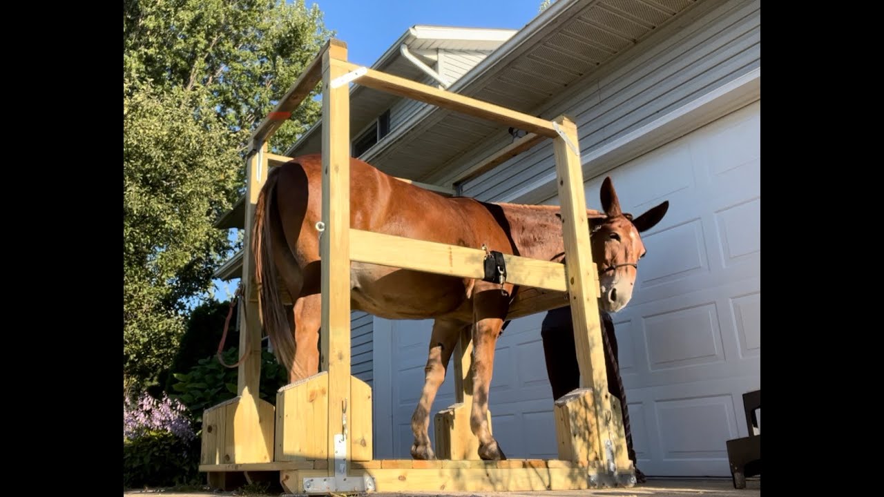 DIY Horse Shoeing Stocks