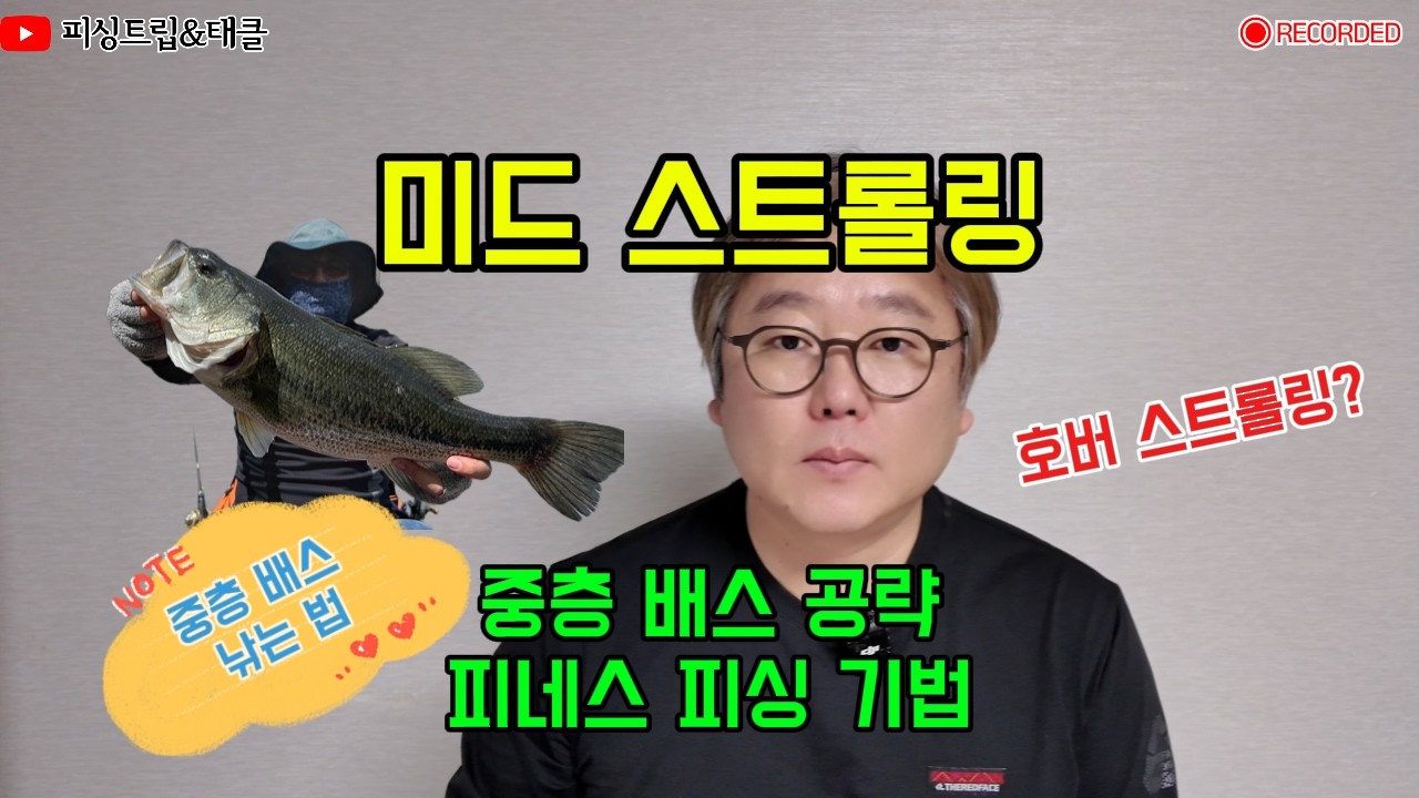 미드 스트롤링 | 중층 배스 공략 피네스 피싱 기법 #미드스트롤링 #중층 #배스공략 #피네스피싱 #호버스트롤링 #저수온기 #배스낚시