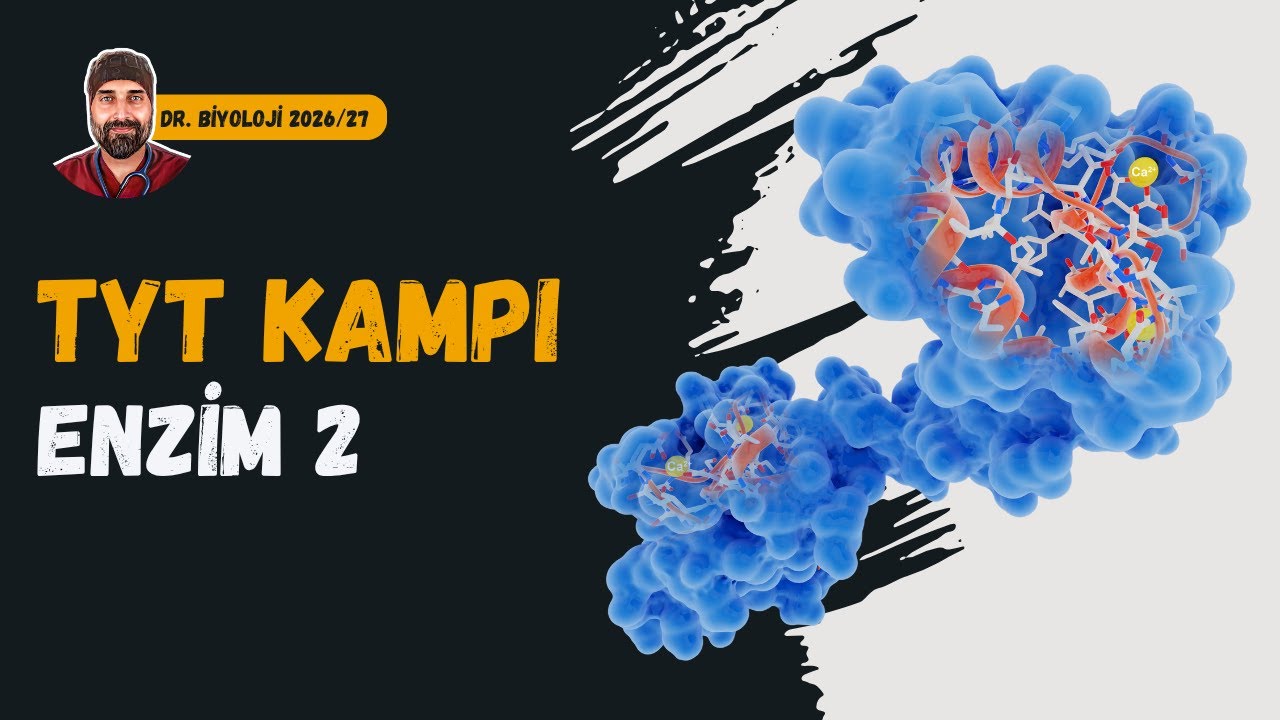 Enzimler 2. Kısım | Dr. Biyoloji | Dönem 2026 - 2027