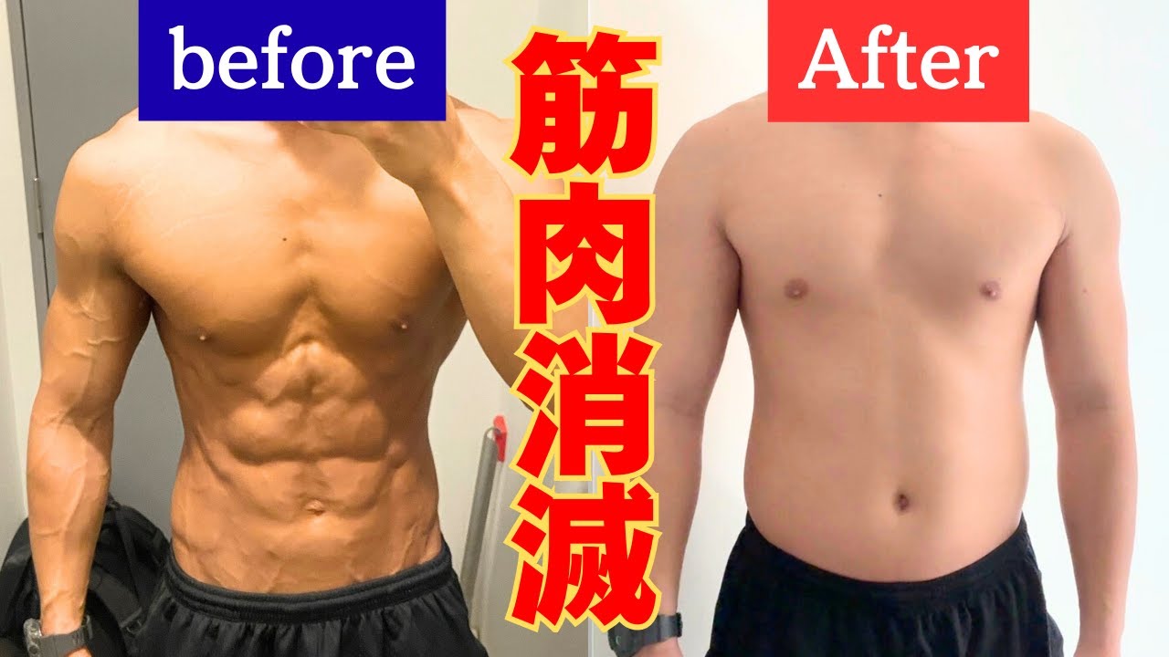 【検証】1か月でベンチプレスを100㎏まで戻すための作戦とは⁉【回復シリーズ＃3】