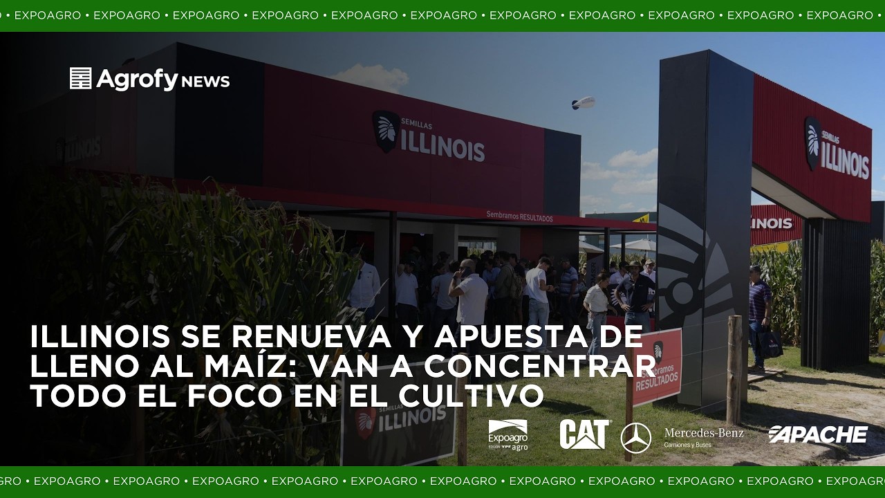 Se renovaron y van de lleno al #maíz: Illinois se especializa en un solo cultivo