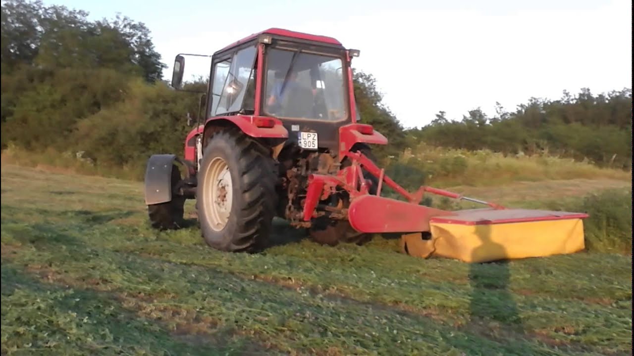 Belarus MTZ 952.3! Lucerna kaszálás 2014!