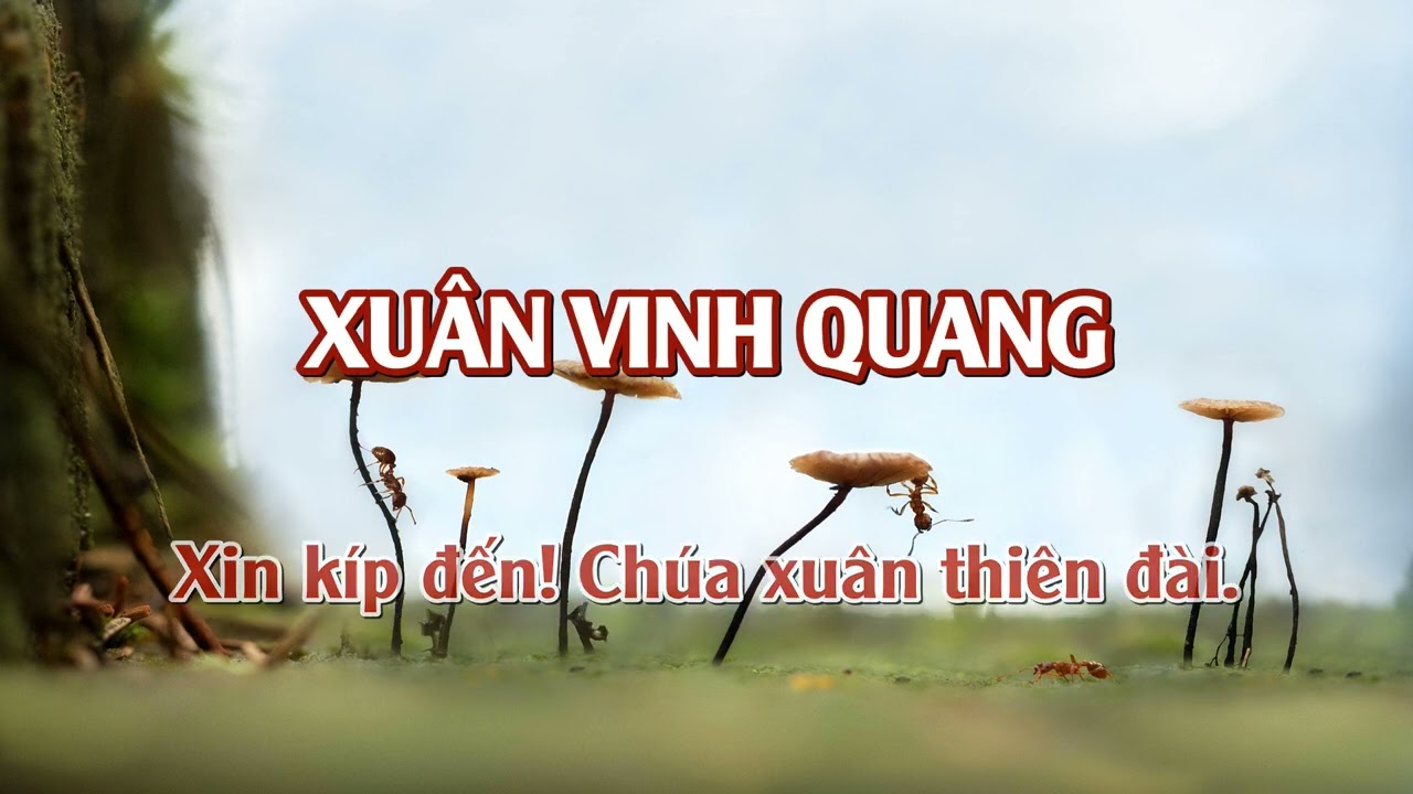 XUÂN VINH QUANG (Beat) - Nhạc Xuân Tin Lành, Thánh ca 890