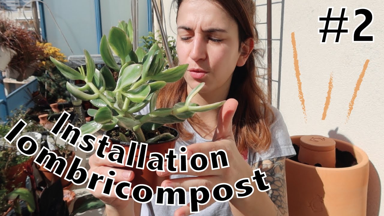J'installe mon lombricompost sur mon balcon + plantation plantes grasses ! #2