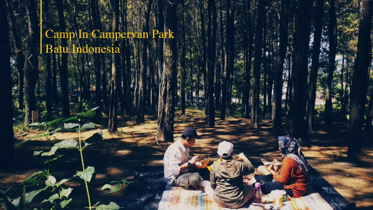Camping Taman Pinus Campervan Park Batu bersama Cat Trooper