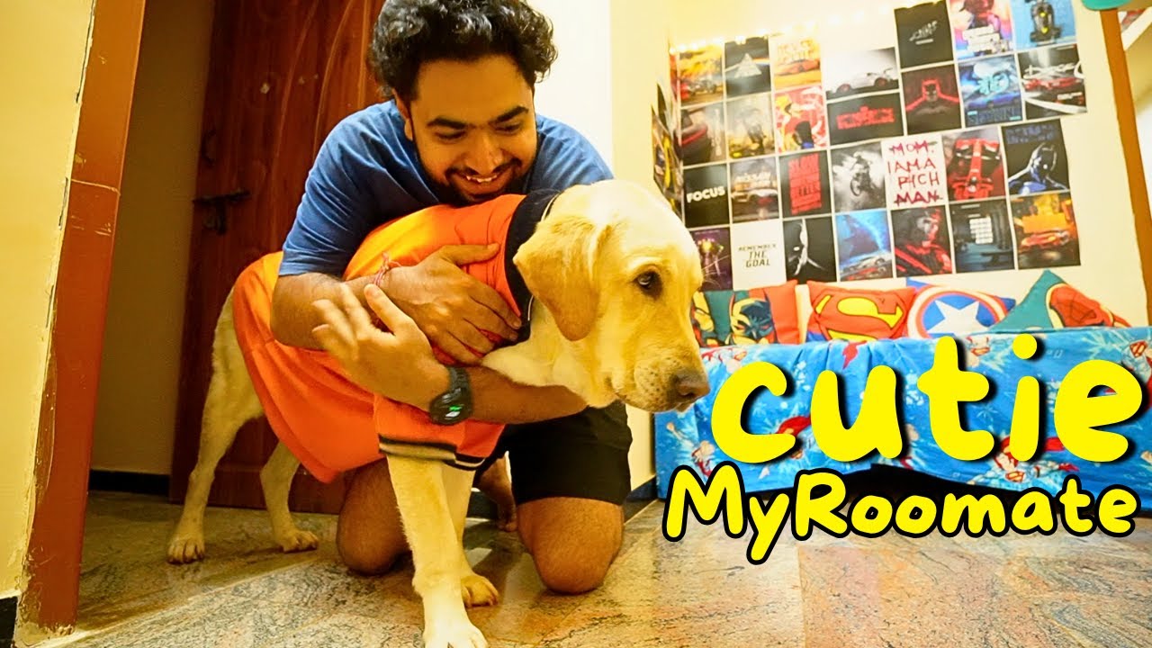 Cutie in my Life & Ford EcoSport Service Hubli Kannada | TheGeekIndia #dogvlog #pets #labrador