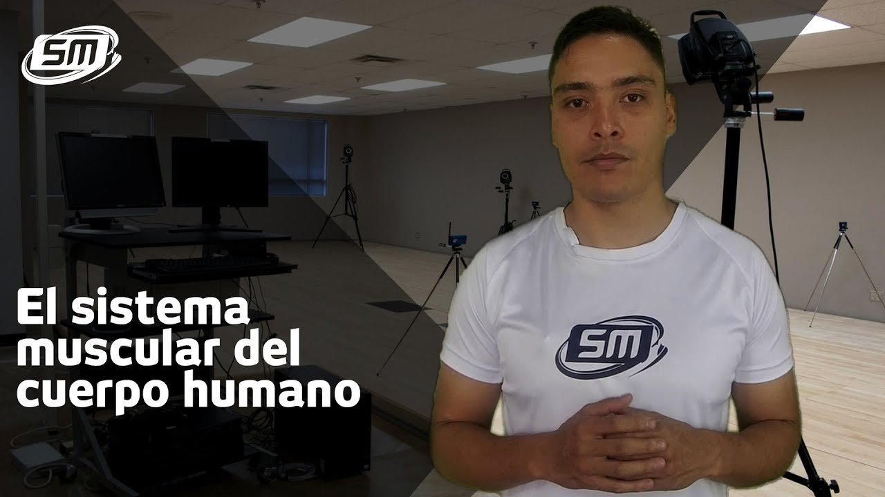 Sistema muscular del cuerpo humano, biomecánica y fisiología del ejercicio