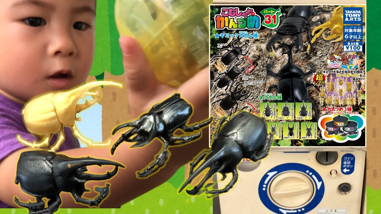 カブトムシ＆クワガタ「こむしちゃんのかんづめ」やったよ★昆虫ガチャ★