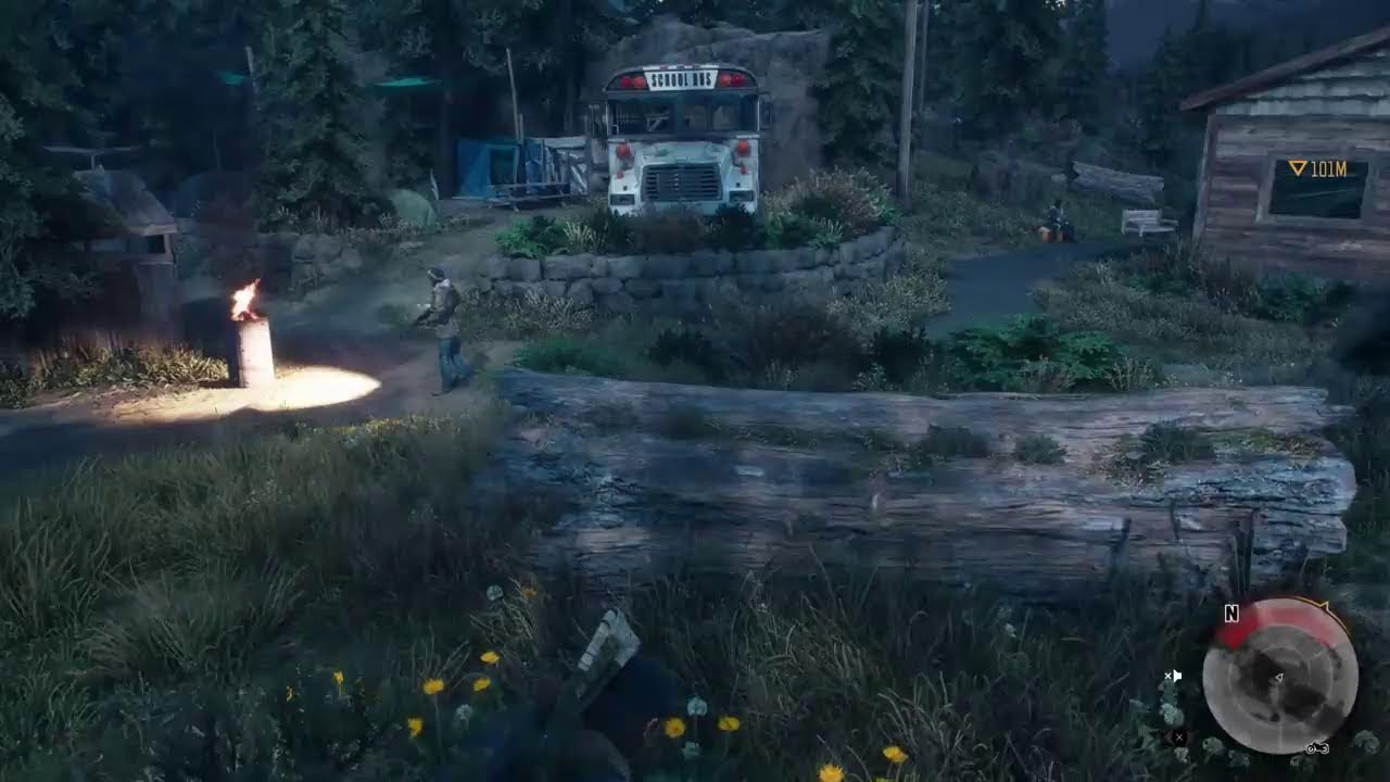 Days gone
