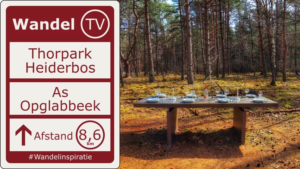 Thorpark wandeling Heiderbos As - Opglabbeek | Wandelen in Limburg | Wandel TV