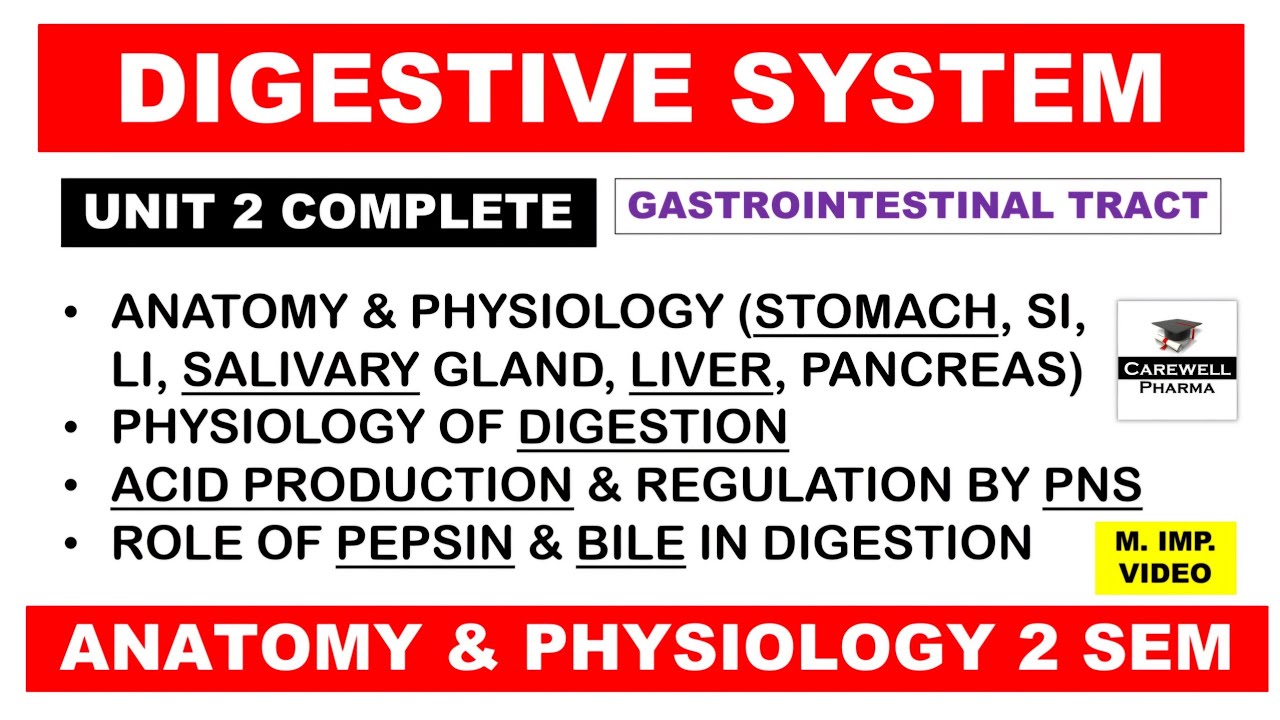 Unit 2 Digestive System (complete) | Acid Production in stomach | Pepsin Bile Liver GI Tract | Hap 2