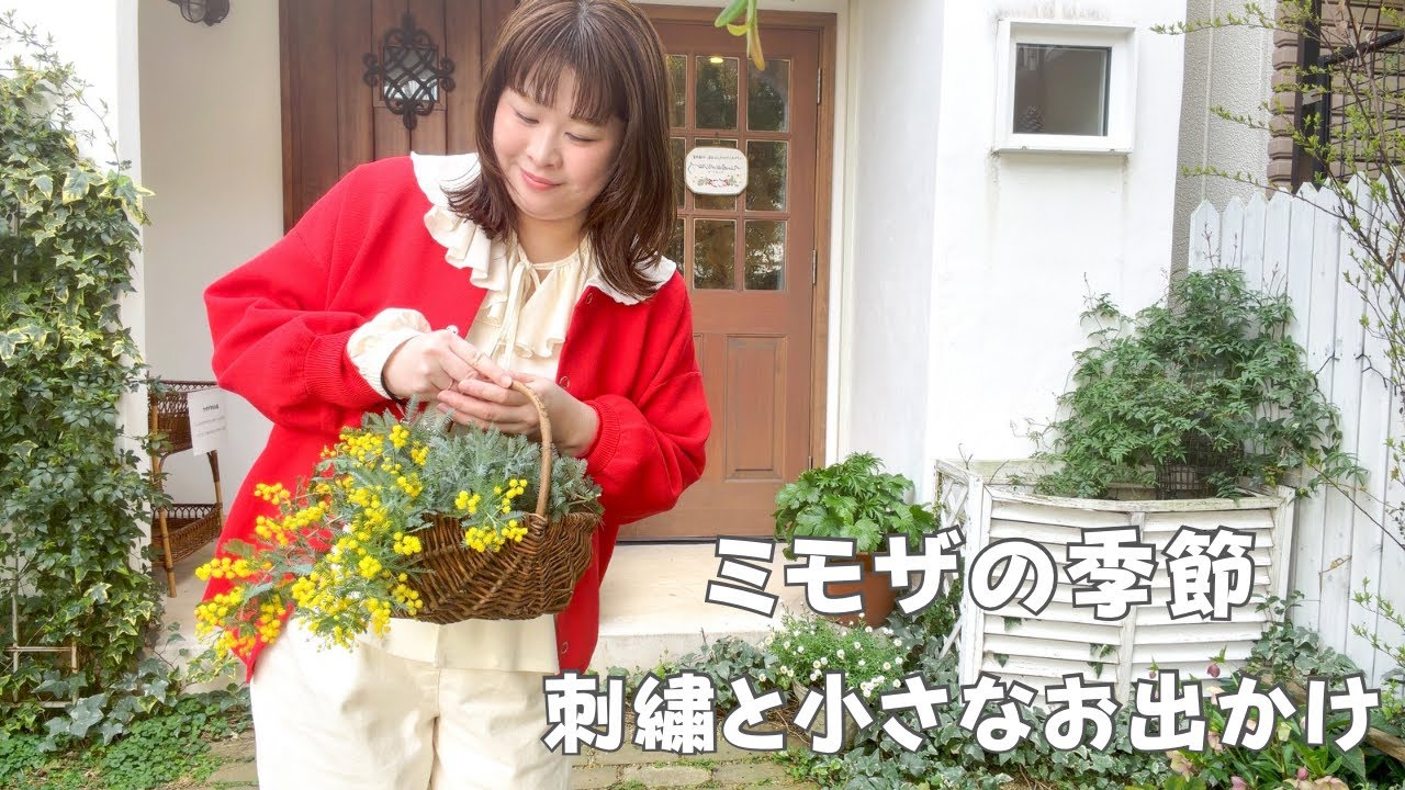 ミモザの季節🌼刺繍と小さなお出かけVlog