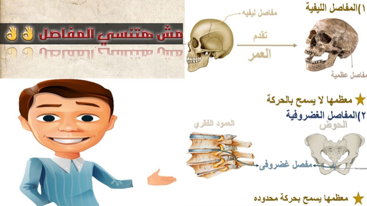 شرح المفاصل
