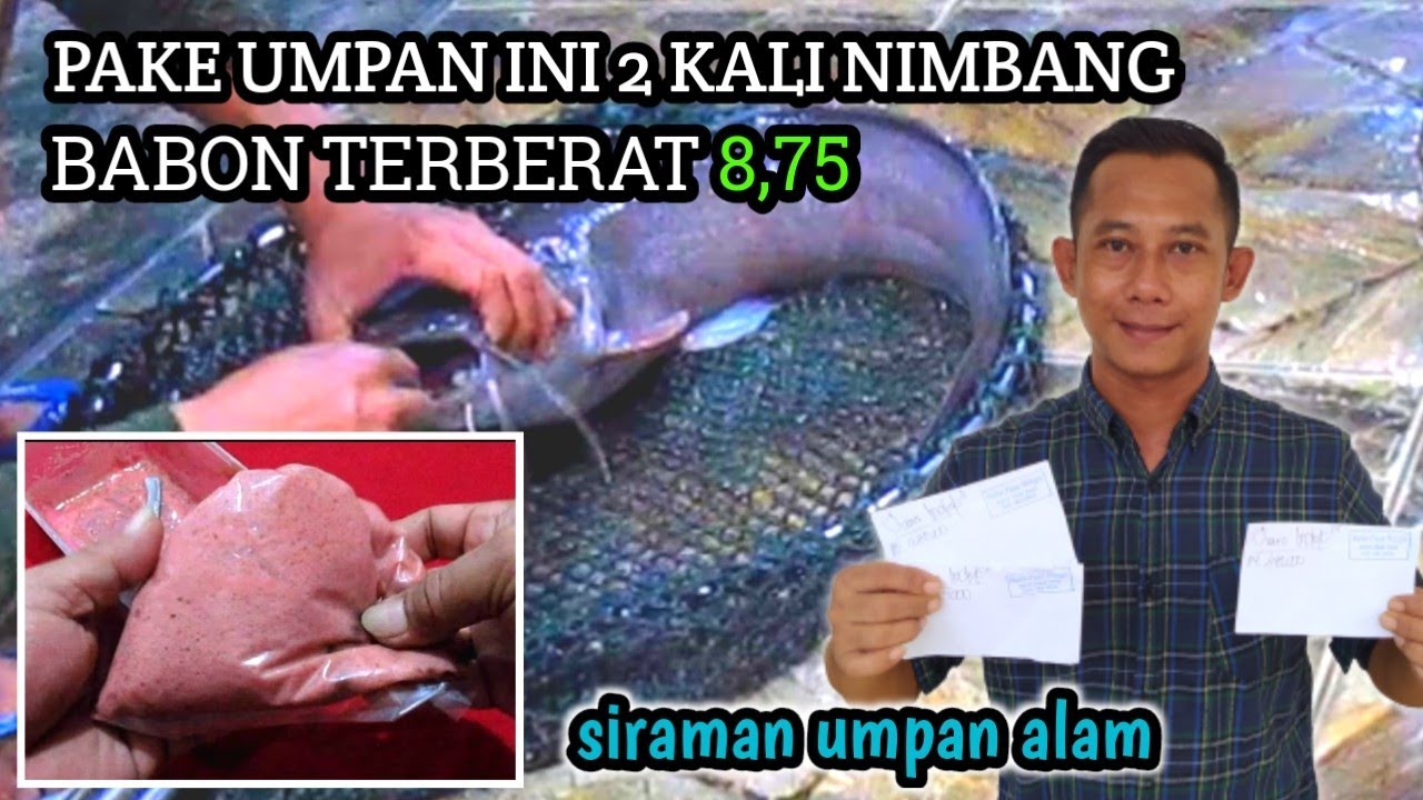 cacing siraman alhamdulilah ngamplop bosku ‼️ dallas fishing pasar minggu