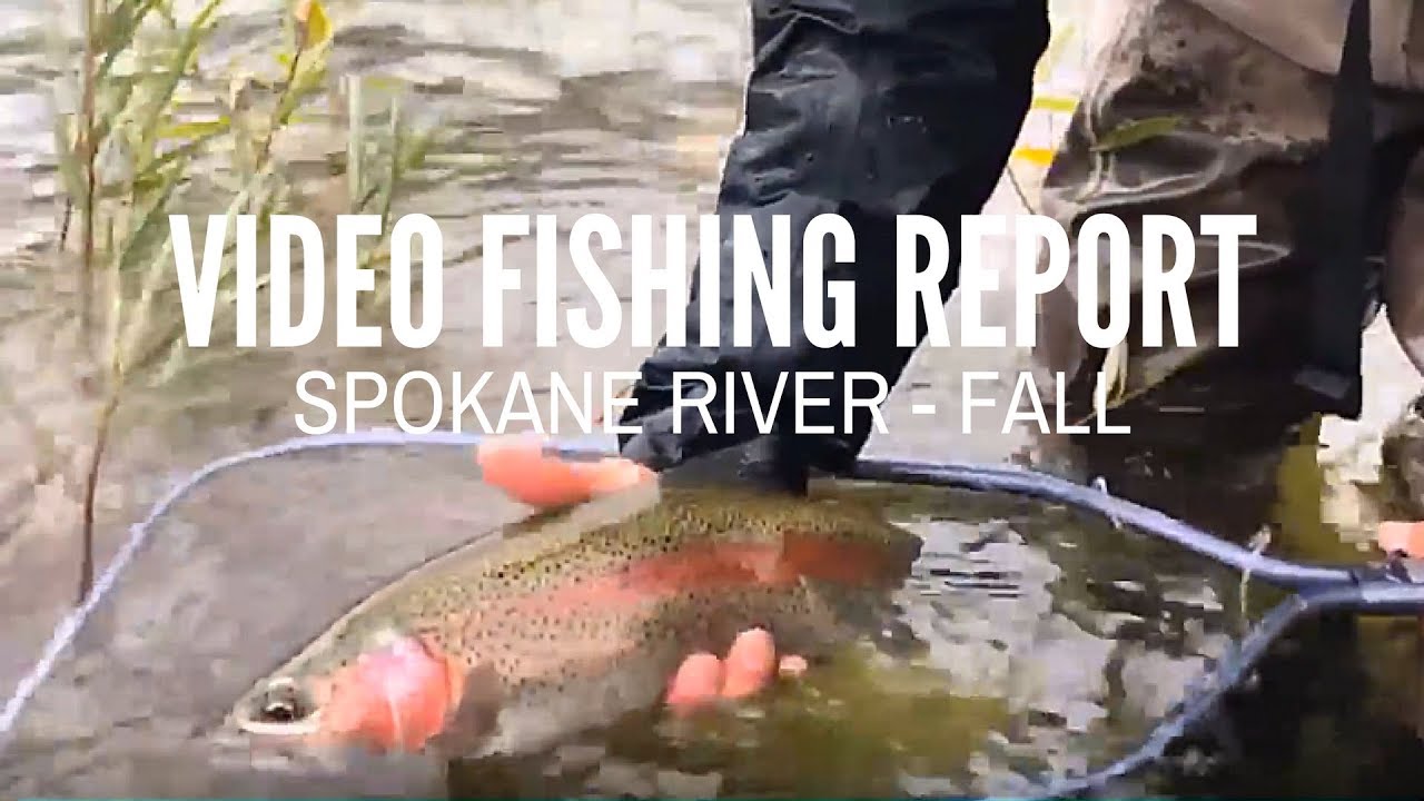 Video Fishing Report - Spokane River Fall