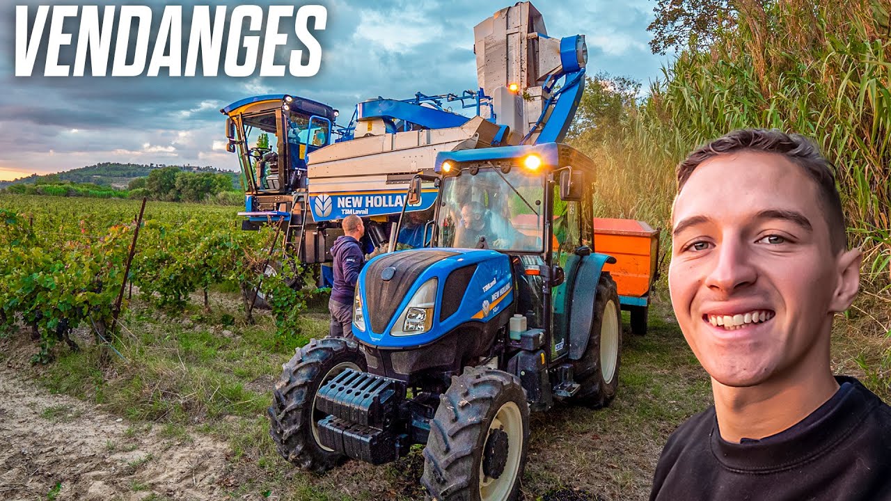 24H PENDANT LES VENDANGES !