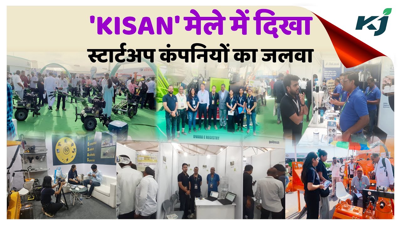 इस साल 