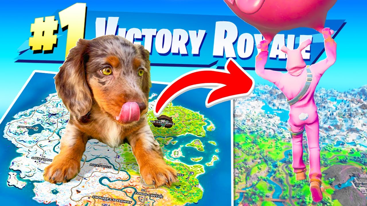 OLLIE BEPAALT Mijn POTJE In Fortnite!