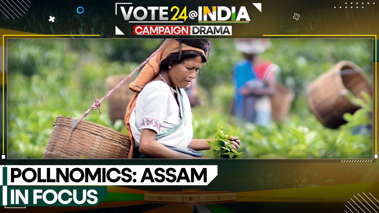 India General Election 2024: Assam is the gateway to the North Eastern belt of India | WION News