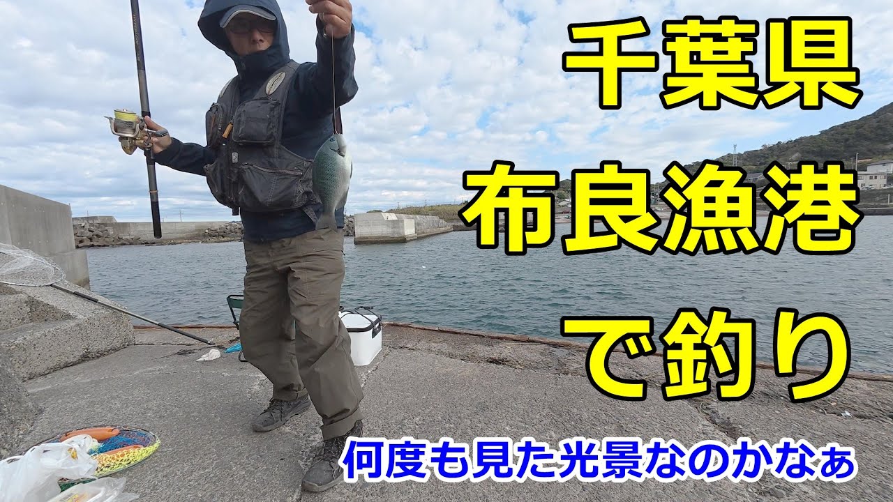 2025.11.19 千葉県布良漁港で釣り