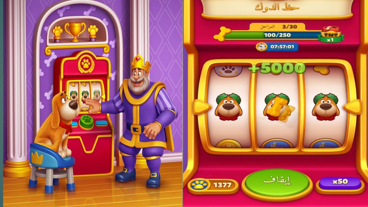 ROYAL MATCH  DUKE'S FORTUNE 🐕 how to get   free spin  🔴♾️