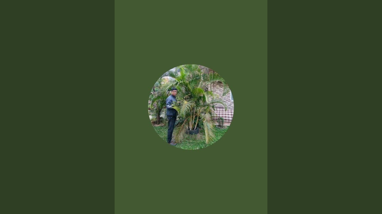 Mr GOGOI POHAR is live