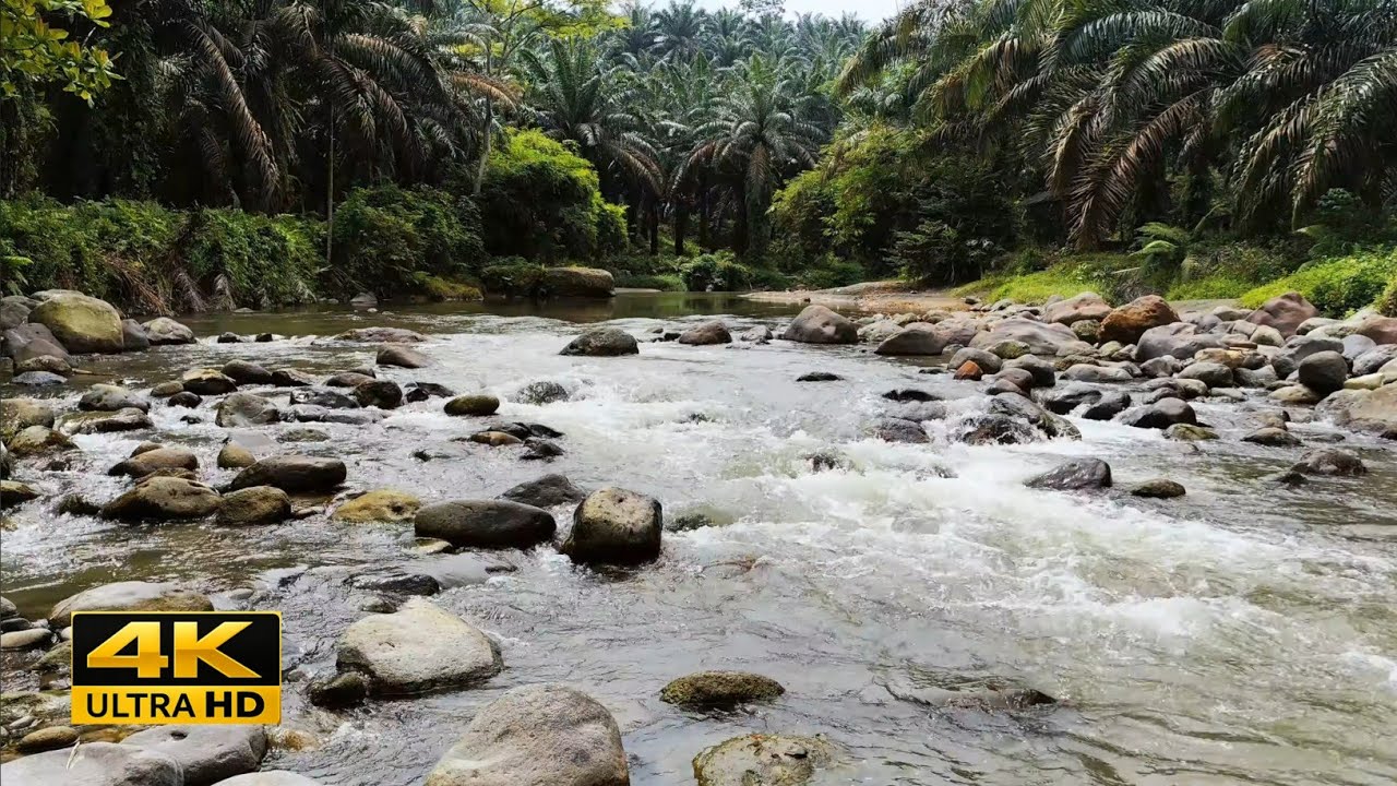 8 Hours River Sounds 😴 Deep Sleep , Relax & Unwind (4K UHD)