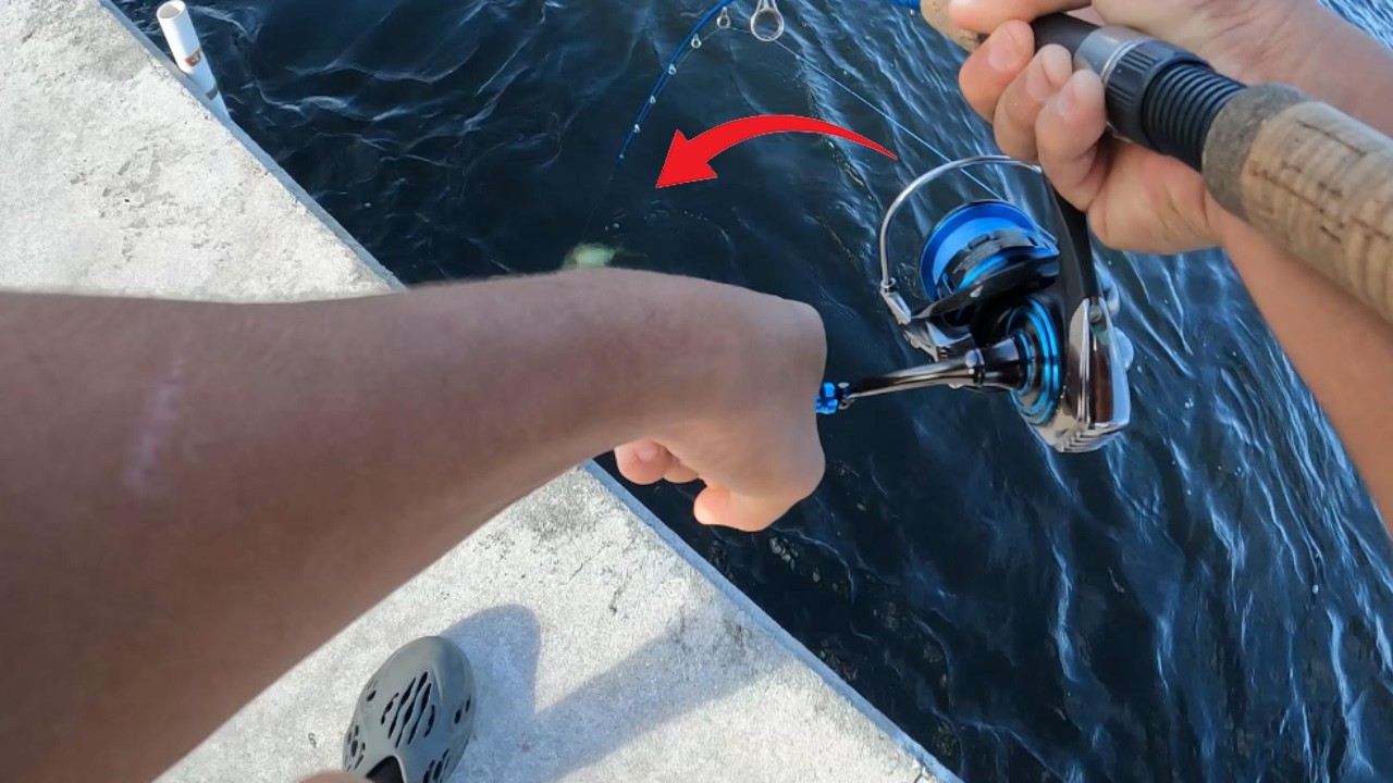 Fishing new spots till we catch a fish!