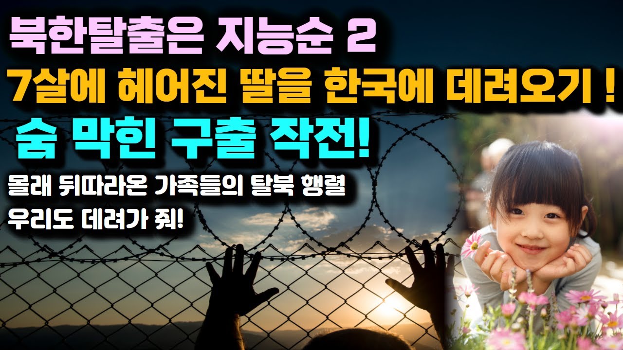 [박미경 3부] 한국 저나라로 안가면 평생 후회한다! 집안에 똑똑한 사람 한사람만 있으면 가문의 운명이 바뀌는 북한 탈출은 지능순!